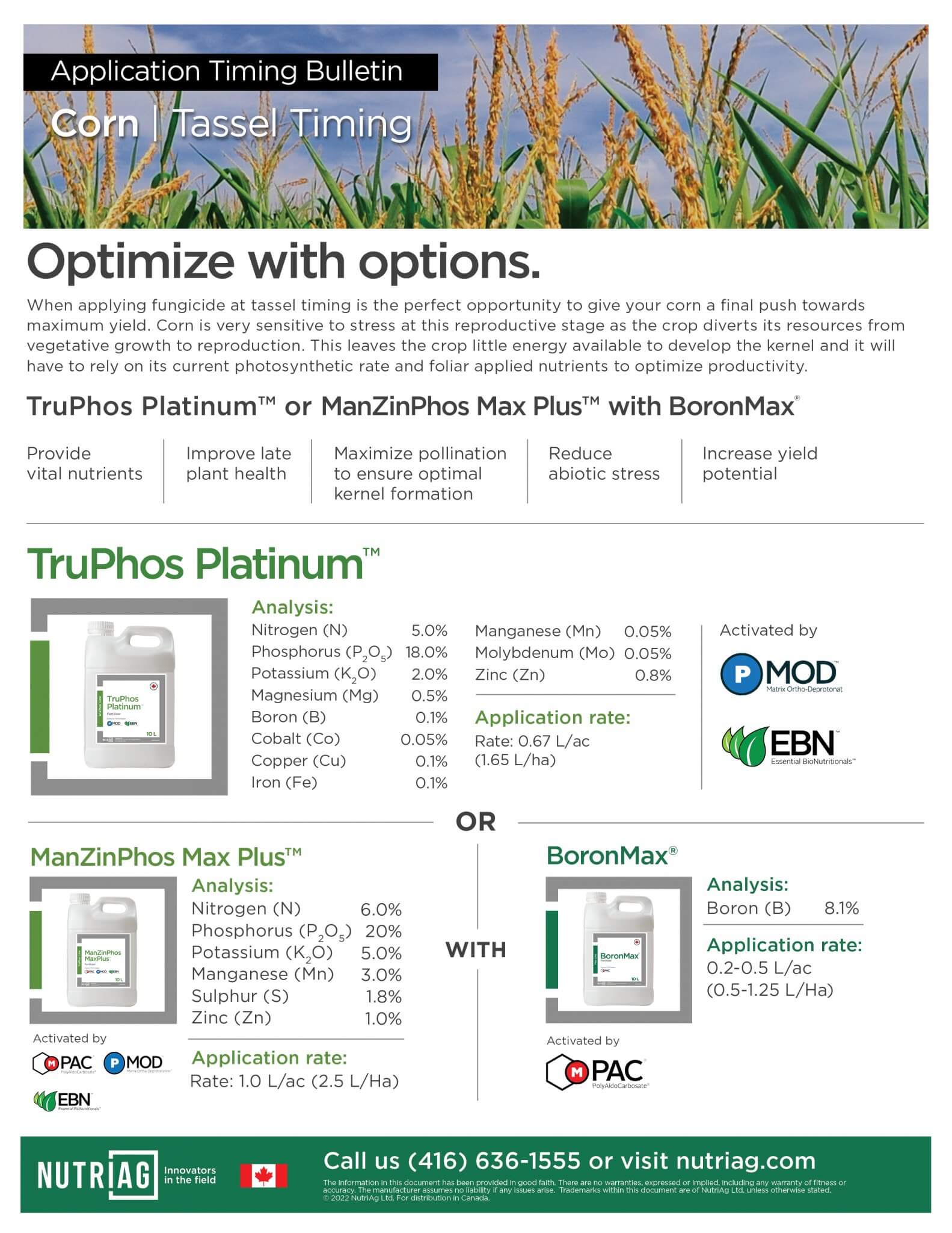 At Corn Tassel Timing Nutriag