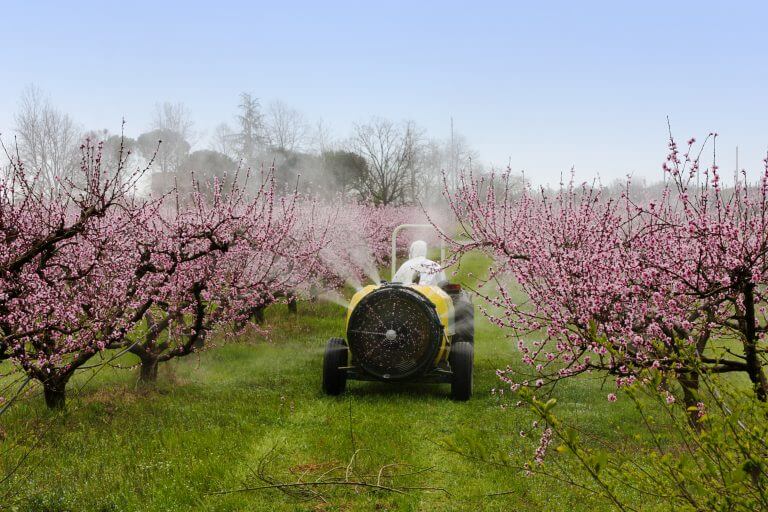 The Power of Foliar Feeding.