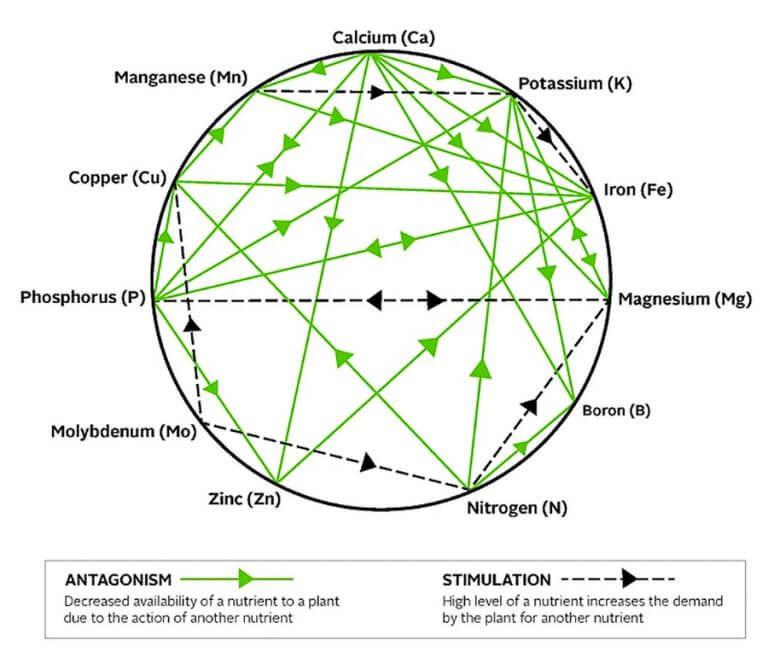 Mulders Chart Nutrient Interactions NutriAg