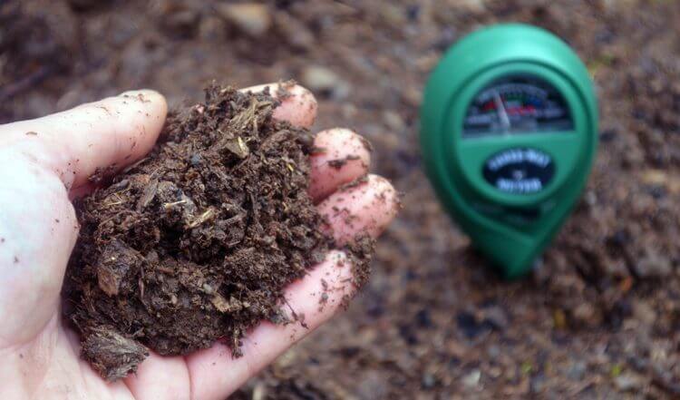 Factors influencing nutrient availability: soil pH